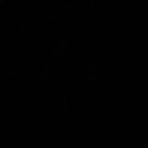 Meet your Posher, Ali